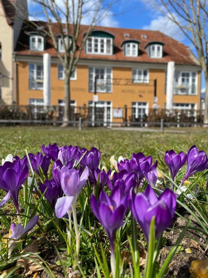 Altes Kasino Hotel Am See Neuruppin Exterior photo